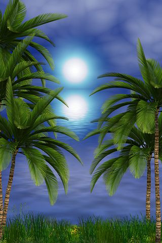 七夕营销活动文案
