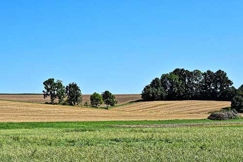 感谢朋友送礼的文案