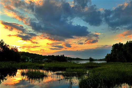 文案心情低落短句