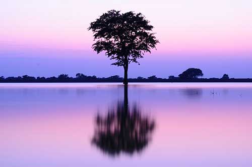 朋友圈几个字文案