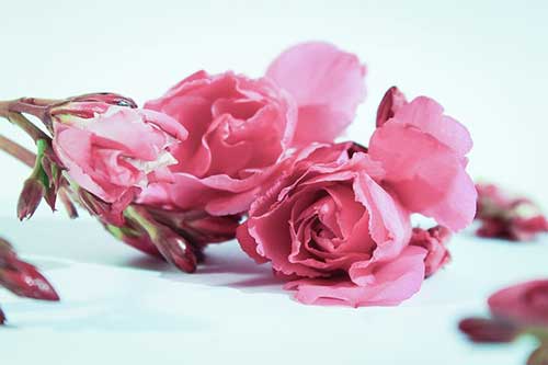 孩子们做手工的文案