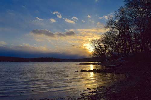 父母不理解孩子的文案