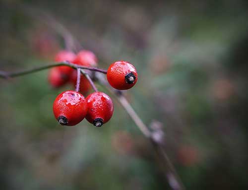 宝宝大笑的文案