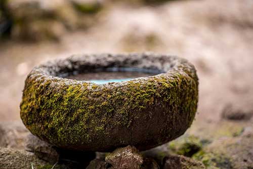 左航说过的励志文案