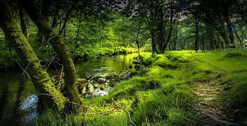 难过时发的文案