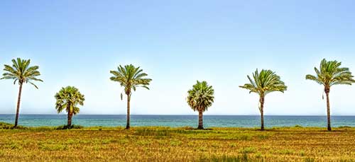 幼儿园放假文案