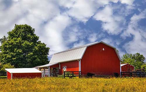影视剪辑介绍文案