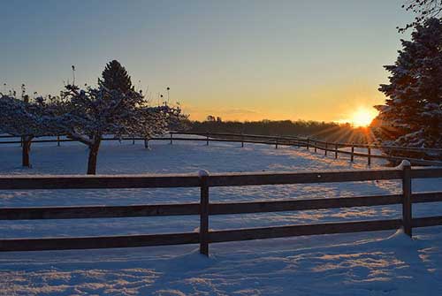 生日文案祝对象