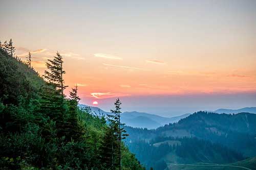 关于春天的文案200字