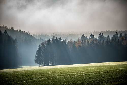 研讨会活动策划