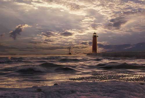 有机产品推广文案