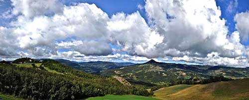 打扫卫生的搞笑文案