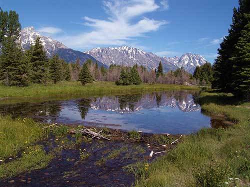 沉浸式工作文案