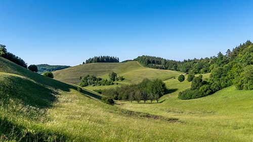 调皮的生日文案