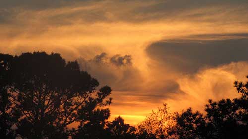 二手车市场宣传文案