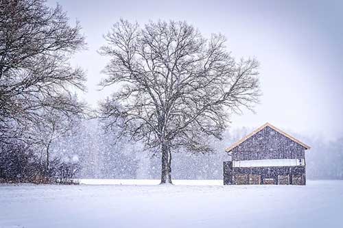 形容东西可爱的文案