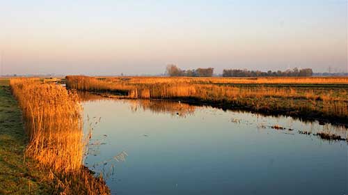 宝宝哭闹的搞笑文案