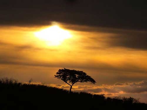 幼儿园结束一周的文案
