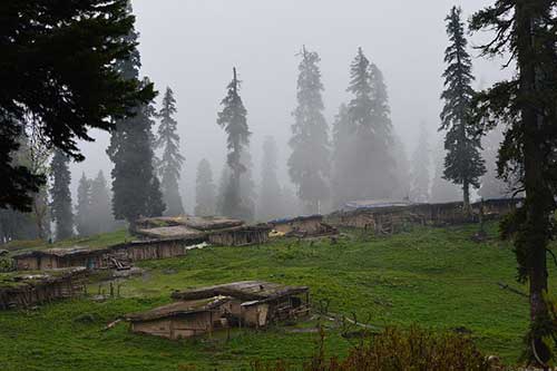 今天生日文案祝自己