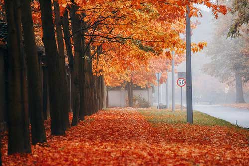 搞笑又霸气的文案