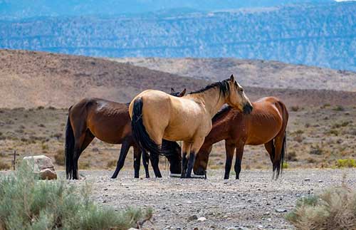 每天好一点文案