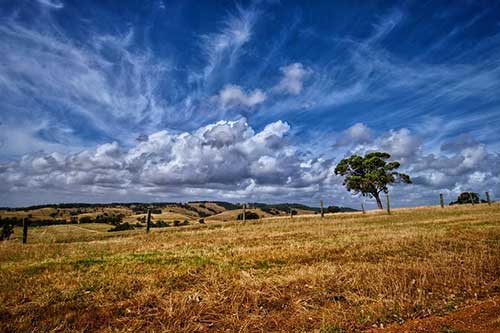 作文课宣传文案