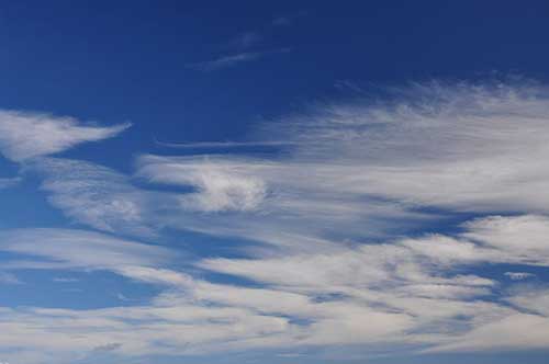 闺蜜来看我的文案