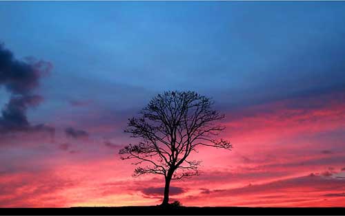 简单的生日快乐文案