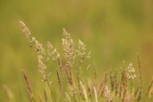 眼镜店招聘文案