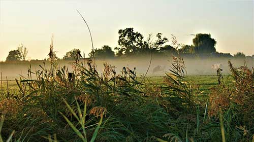 陪孩子玩耍朋友圈文案