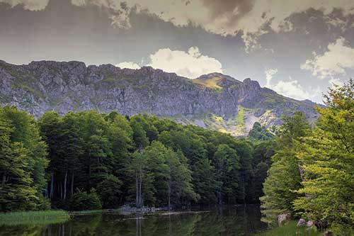 不是因为寂寞才想你文案短句