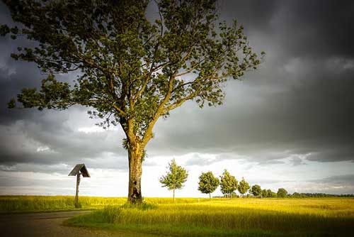 妈妈和女儿文案