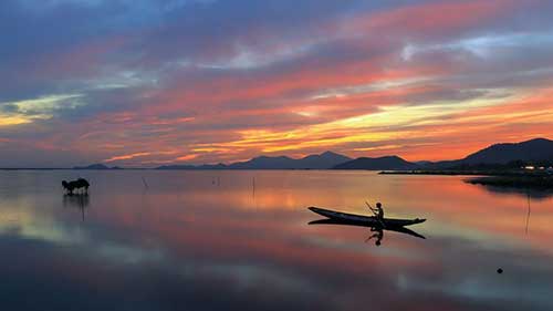 关于狗的沙雕文案