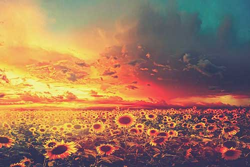 好心情唯美文案